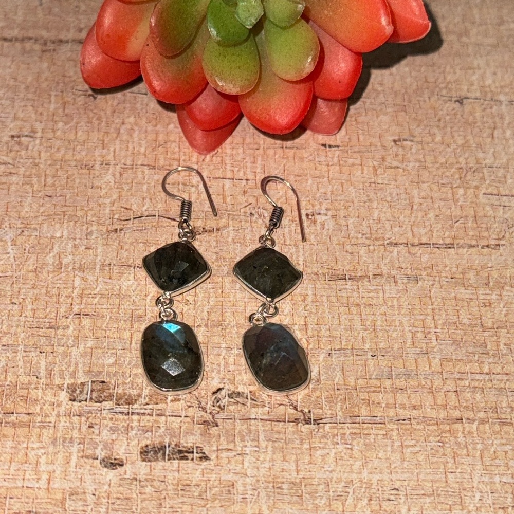 Faceted Labradorite Earrings - image 1